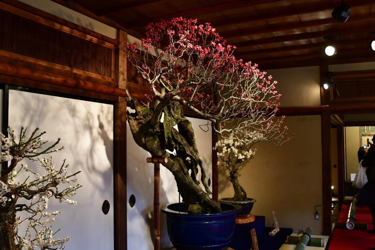 Cozy House 402 Free Wifi A Rented Electric Bicycle Daire Kyoto Dış mekan fotoğraf